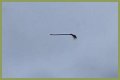 Disturbing video shows floating broom in the middle of the air and the internet is losing its collective mind