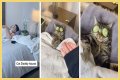 TikTok Is Obsessed With This Guy and His Cat Having a Relaxing Spa Day Together