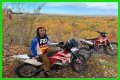 Who is Miles Pfeffer? And Know Some Facts About Miles Pfeffer!!!